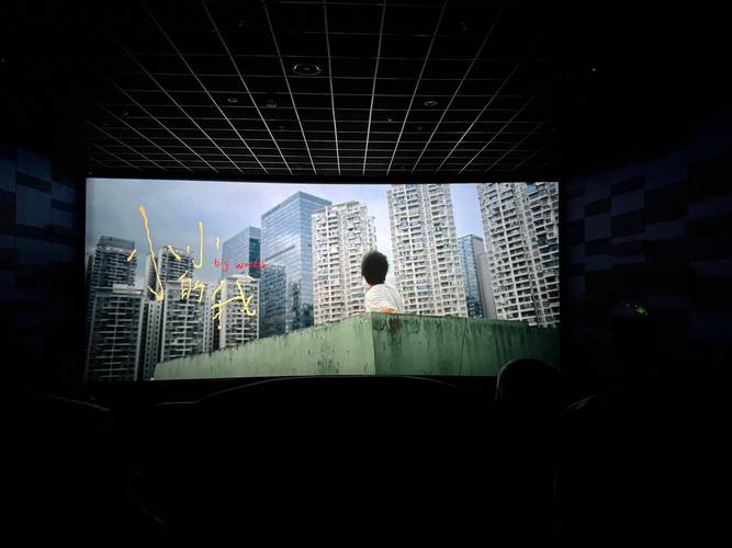 我的城市电影院1.02截图3