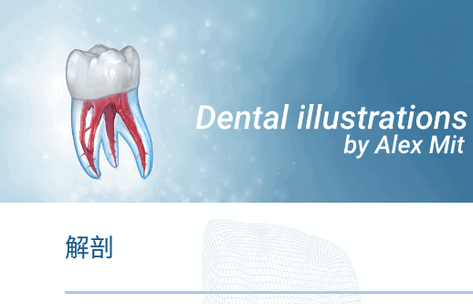 牙科3D插图免费版(Dental Illustrations)v2.0.86 安卓订阅版