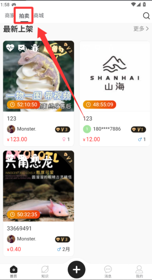 山海异宠 v1.0.09手机版