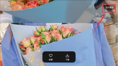 labu主题壁纸 v1.1免费版