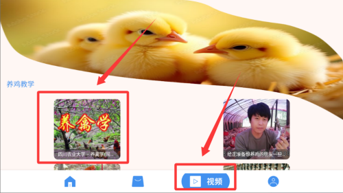 养鸡宝 v1.0.4最新版