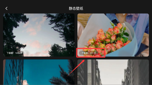 labu主题壁纸 v1.1免费版