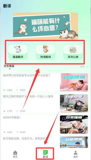 猫语空间 v1.0.0最新版