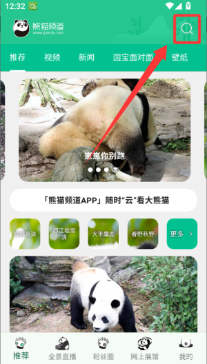 熊猫频道 v2.3.2手机版 熊猫频道 v2.3.2手机版