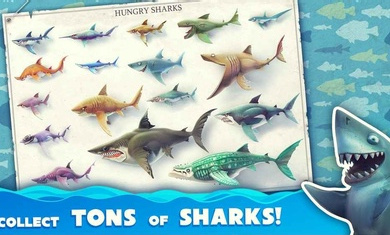 饥饿鲨世界国际服最新版本(Hungry截图3