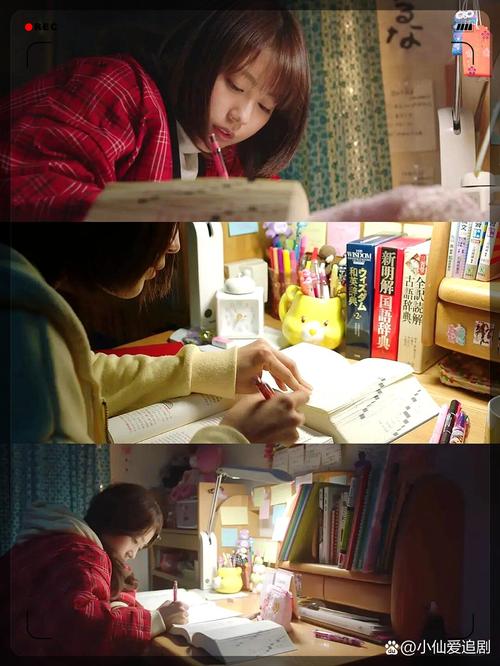 天天追书最新版截图2