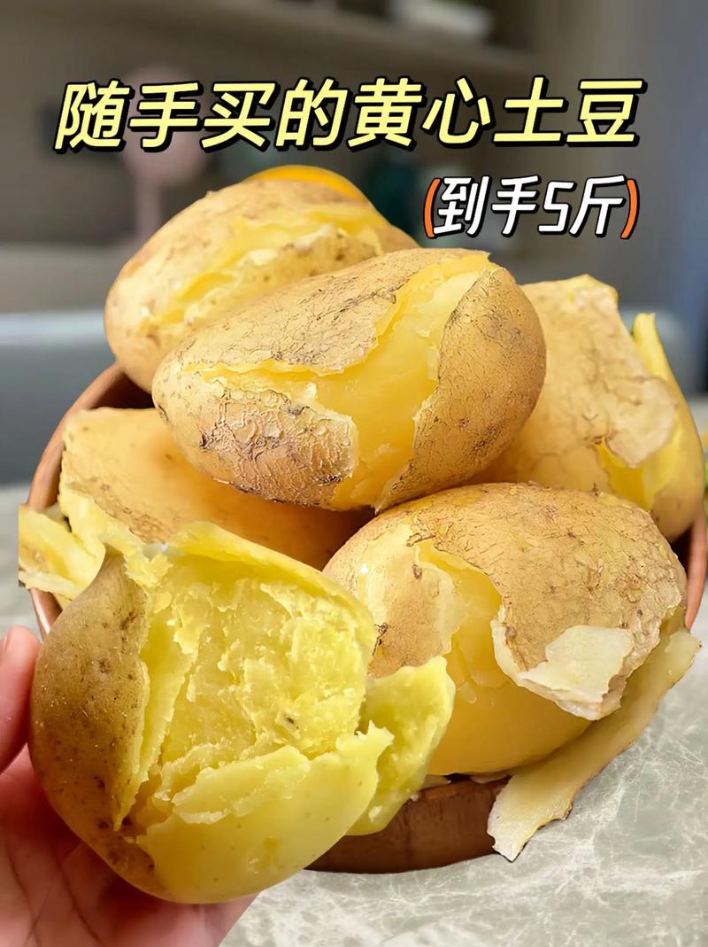 土豆视频手机版截图3
