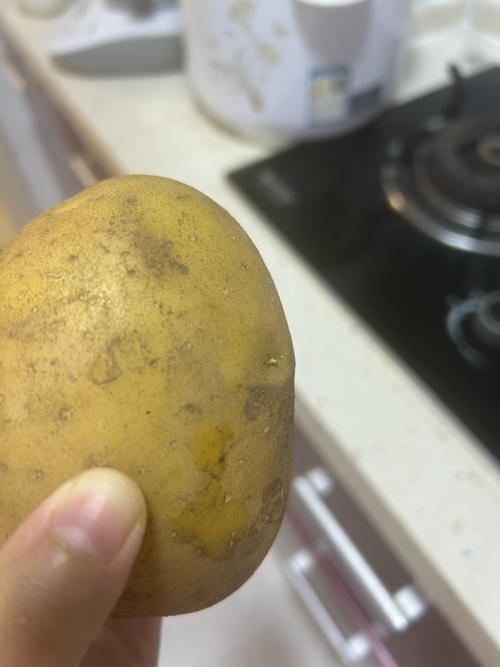 土豆视频手机版截图1