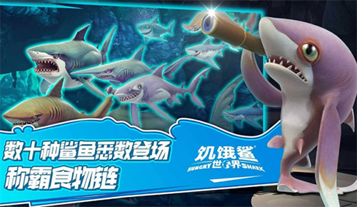 饥饿鲨世界全鲨鱼满级版下载截图4