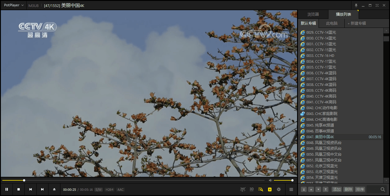 PotPlayer v1.7.22539绿色版