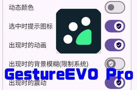 手势轮盘GestureEVO PRO版1.3-041802 激活版