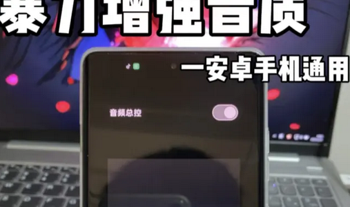 HXAudio Pro版v1.0.2.1003 - play.version 安卓版