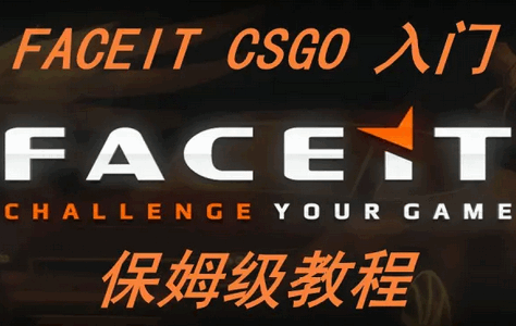 FACEIT手机客户端v3.1.4 安卓版