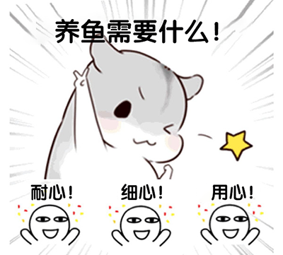 萌鱼泡泡手游官方版v3.1.8.1 安卓版