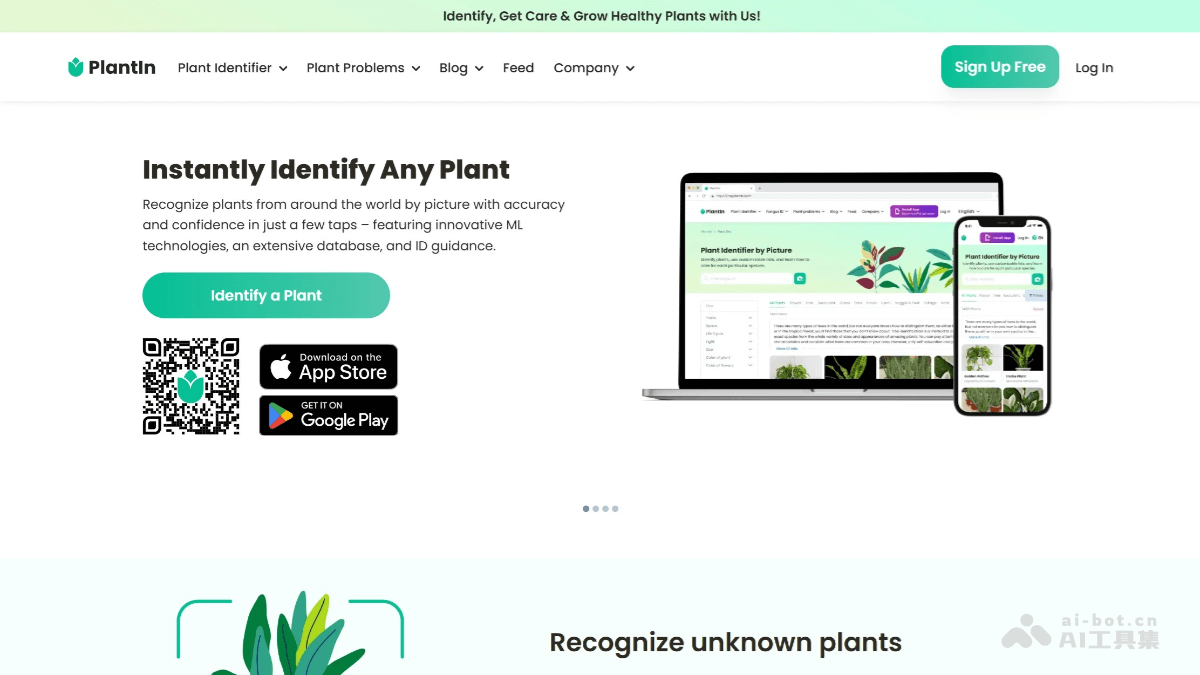 Plantin